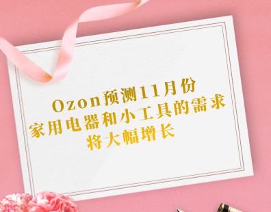 Ozon预测，11月份家用电器和小工具的需求将大幅增长